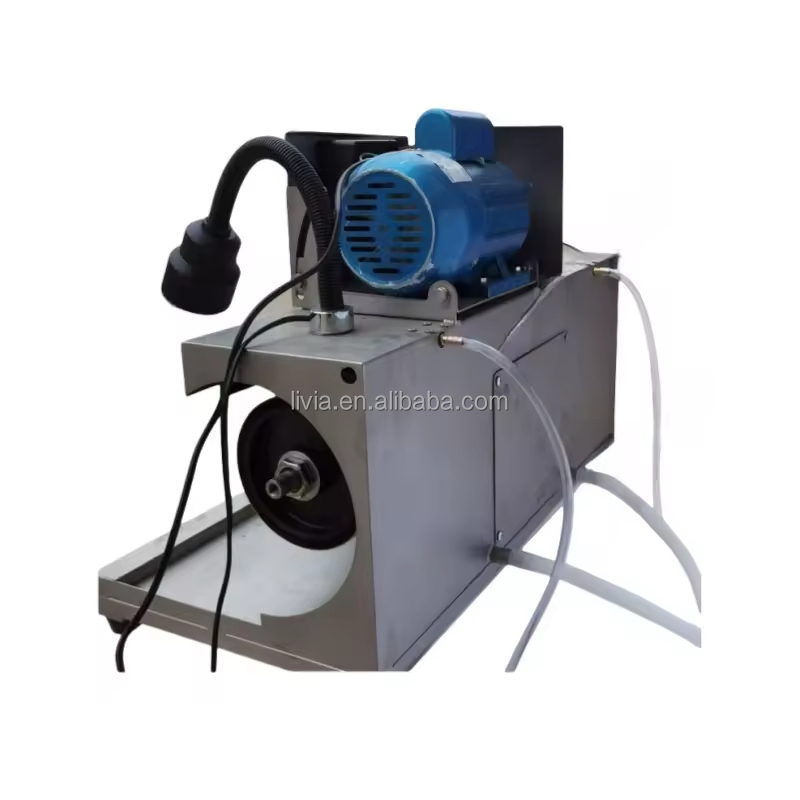 Lapidarische Poliermaschine fü – Jewelry Making Machines Bewertung und Preis